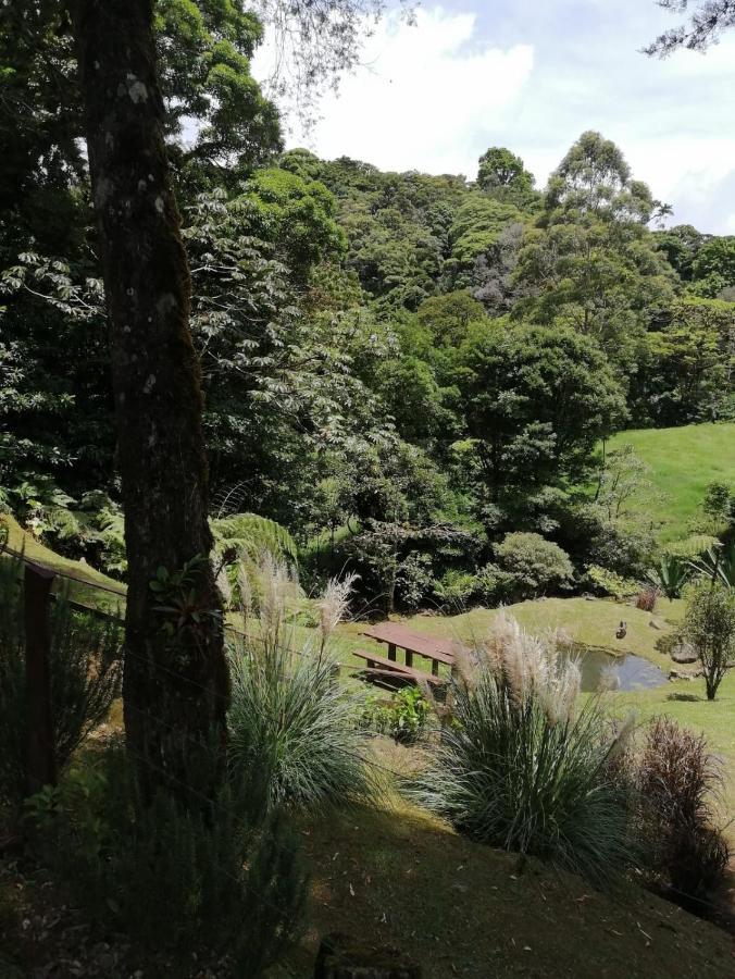 Monteverde Casa Mia, Near Main Attractions And Town! Exterior photo