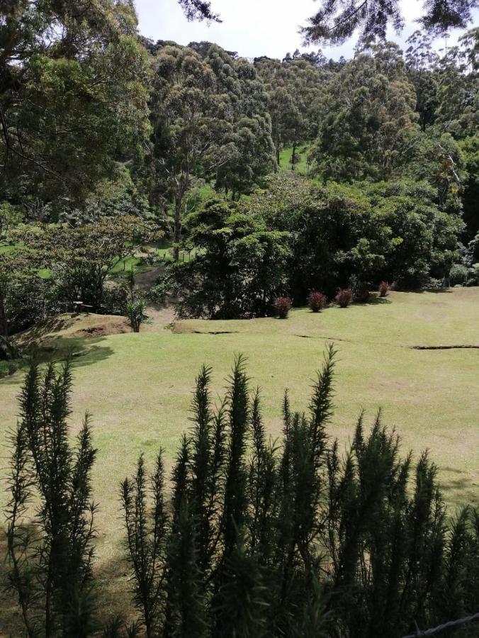 Monteverde Casa Mia, Near Main Attractions And Town! Exterior photo