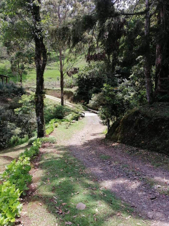 Monteverde Casa Mia, Near Main Attractions And Town! Exterior photo