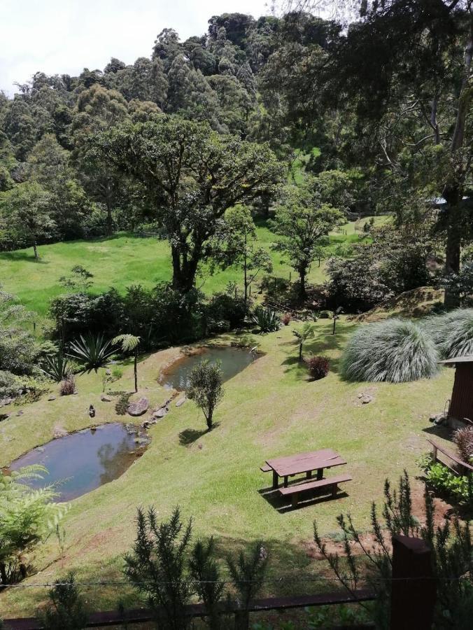 Monteverde Casa Mia, Near Main Attractions And Town! Exterior photo