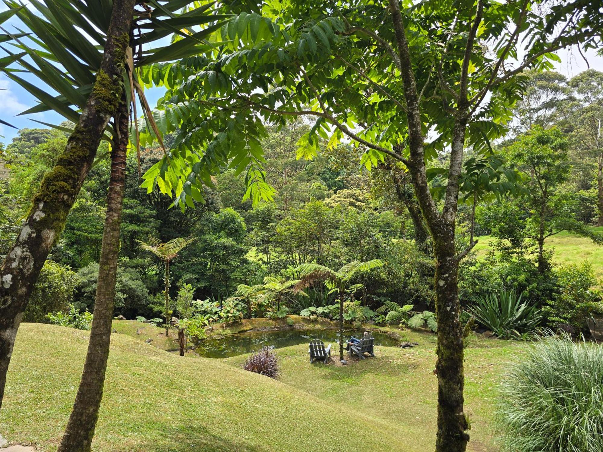 Monteverde Casa Mia, Near Main Attractions And Town! Exterior photo