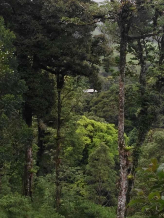 Monteverde Casa Mia, Near Main Attractions And Town! Exterior photo