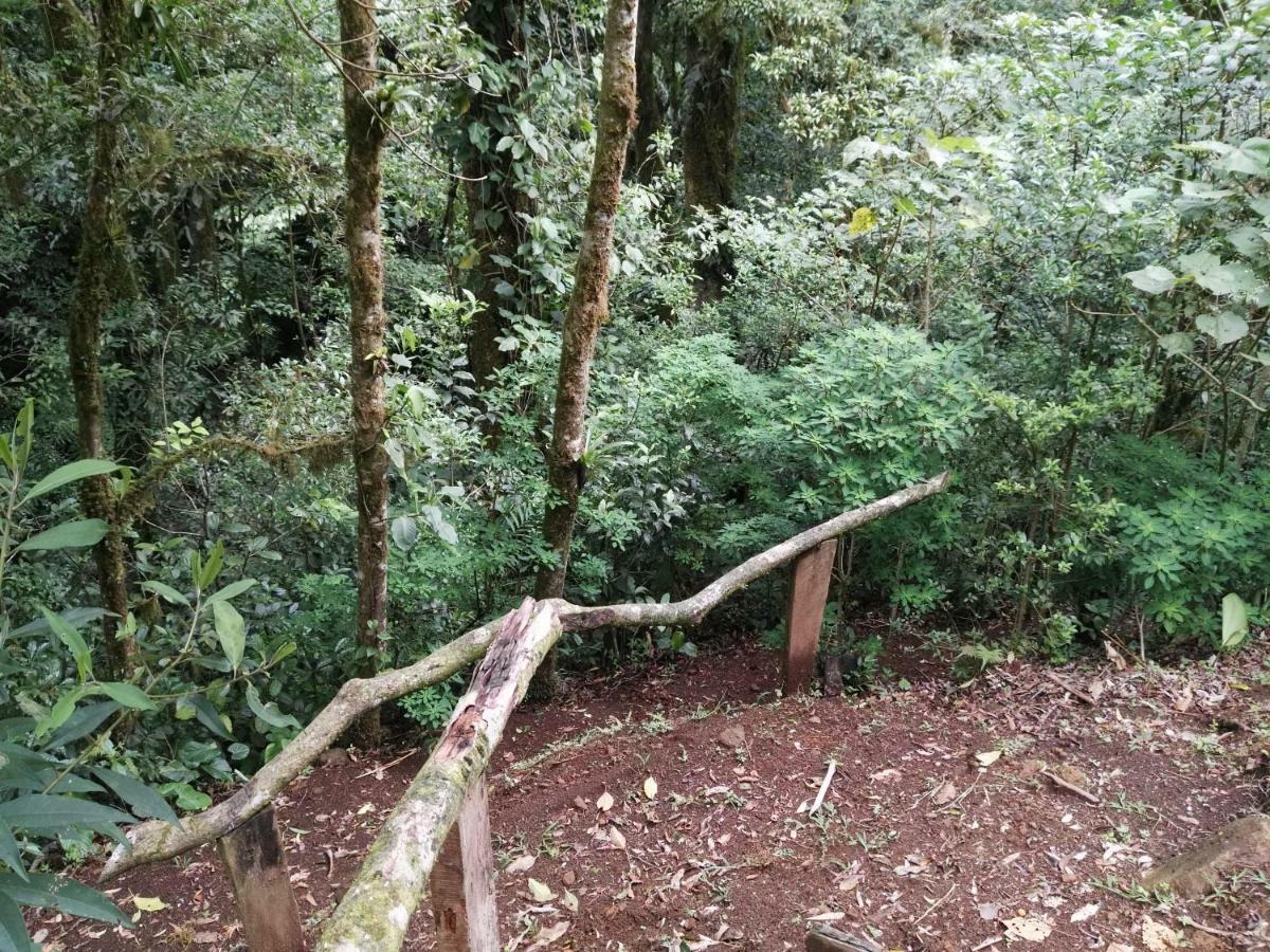 Monteverde Casa Mia, Near Main Attractions And Town! Exterior photo