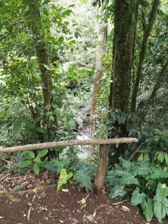 Monteverde Casa Mia, Near Main Attractions And Town! Exterior photo
