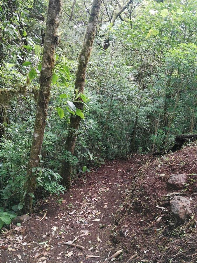 Monteverde Casa Mia, Near Main Attractions And Town! Exterior photo